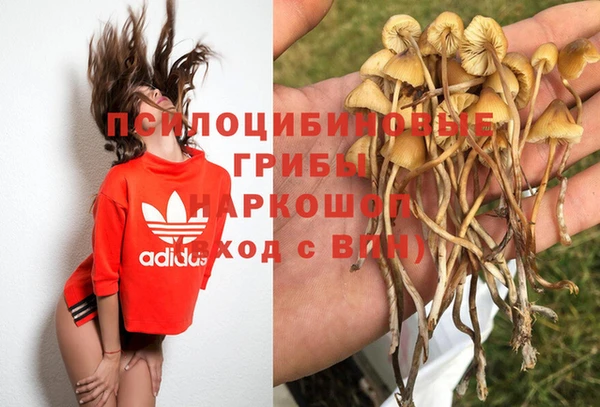 мет Богданович