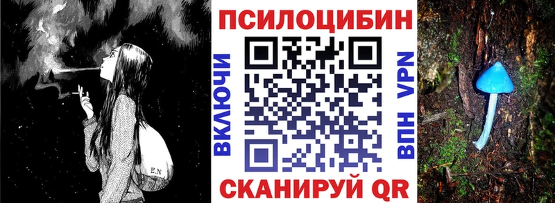 Псилоцибиновые грибы мухоморы  продажа наркотиков  Белгород 